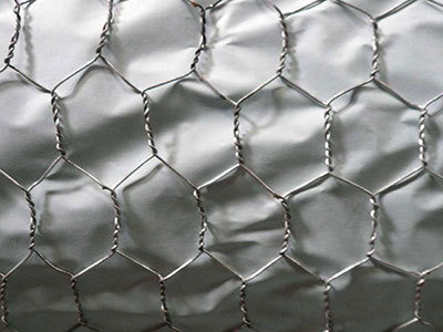 六角擰花網(wǎng)- 安平縣圣森金屬絲網(wǎng)制品