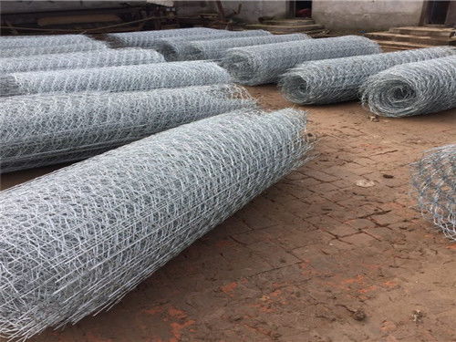 新聞中心 安平縣東潤金屬絲網制品